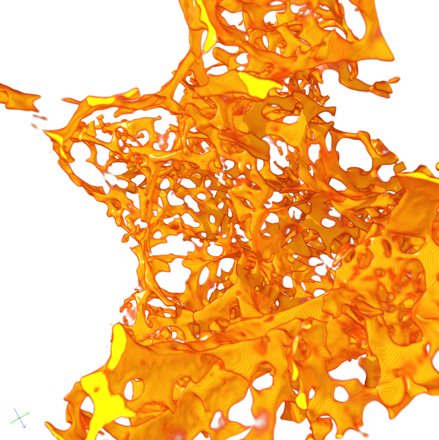 Ausschnitt der 3D-Rekonstruktion eines CT-Bildes der kapillaren Blutgefäße einer Mauselunge.