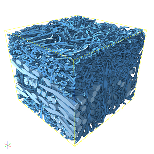 Rekonstruiertes µCT-Bild eines Faserfilzes