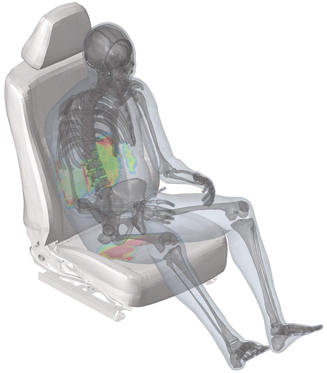 Knochenmodell EMMA auf einem Autositz