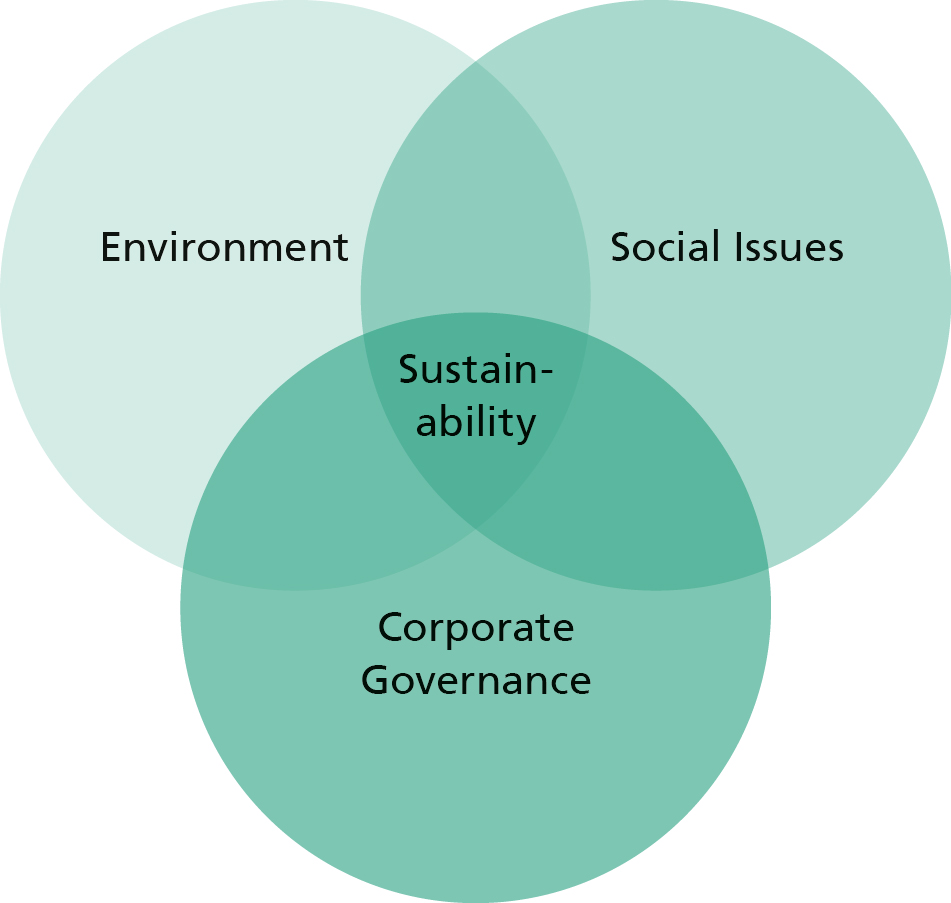 ESG Criteria