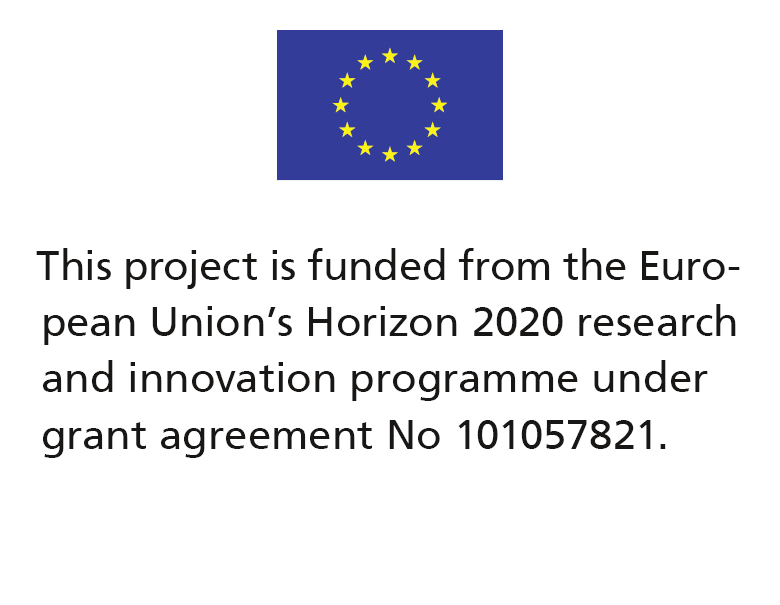 Englische Projektförderung_EU-Horizon-OPT_RELIVIUM