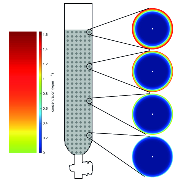 Overview on the simulation of a chromatography column